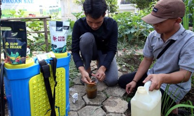 Pupuk Organik Asal Bandung Tembus Pasar Afrika