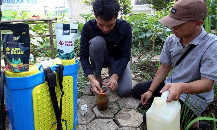 Pupuk Organik Asal Bandung Tembus Pasar Afrika