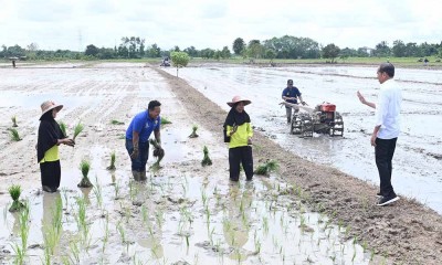 Presiden Tinjau Bantuan Pompa Untuk Pengairan