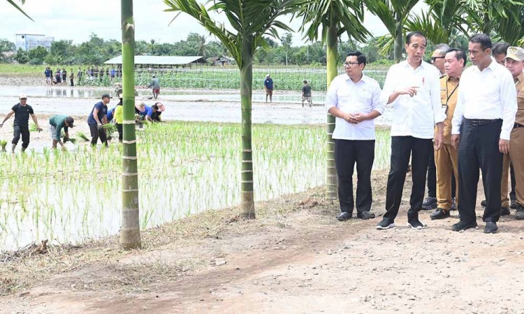 Presiden Tinjau Bantuan Pompa Untuk Pengairan