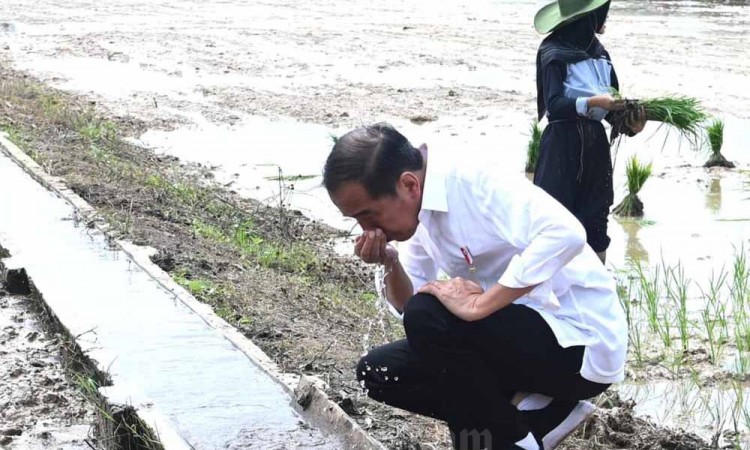 Presiden Tinjau Bantuan Pompa Untuk Pengairan