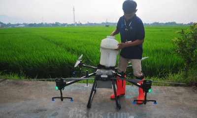 Penyemprotan Pestisida Menggunakan Pesawat Drone
