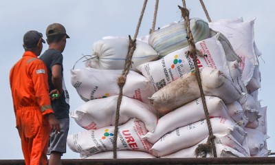 Penyaluran Pupuk Bersubsidi Sesuai Target