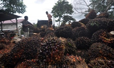 Kemendag Tetapkan Harga Referensi Komoditas Minyak Kelapa Sawit