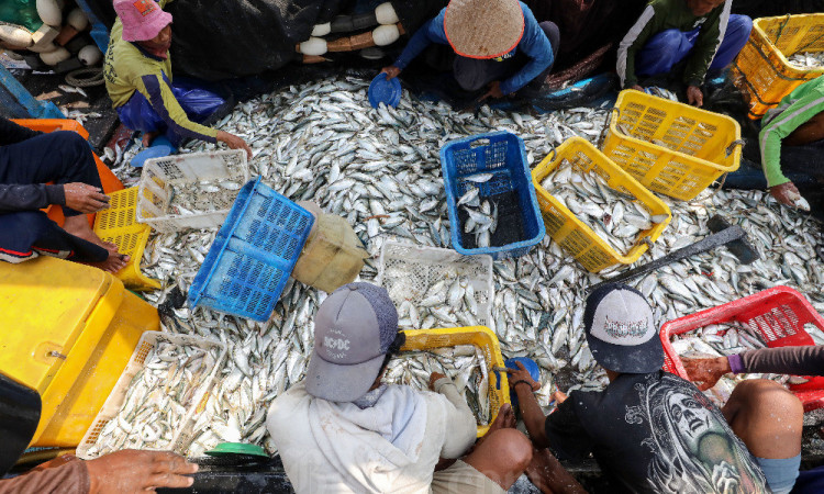 KKP Targetkan Produksi Perikanan Indonesia Mencapai 30,85 Juta Ton Pada 2024