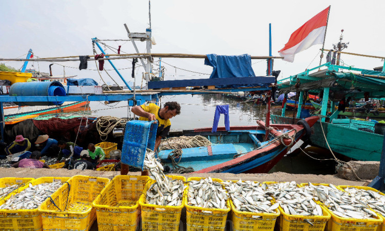 KKP Targetkan Produksi Perikanan Indonesia Mencapai 30,85 Juta Ton Pada 2024
