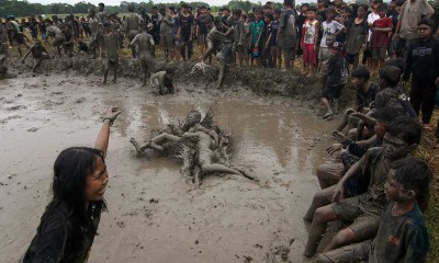 Keseruan Ritual Adat Kebo-keboan Alas Malang di Banyuwangi