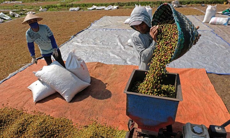 Jasa Penggilingan Kopi Keliling di Temanggung Jawa Tengah