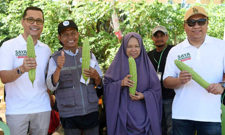 Festival Panen Makmur di Takalar Sulawesi Selatan