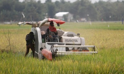 Bulog Ditugaskan Untuk Mengimpor 3,6 Juta Ton Beras Untuk Bantuan Pangan