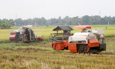 Bulog Ditugaskan Untuk Mengimpor 3,6 Juta Ton Beras Untuk Bantuan Pangan