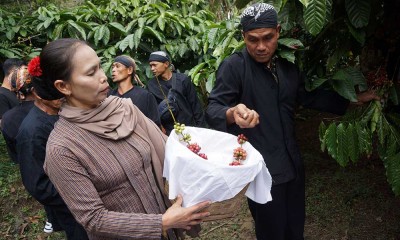 Tradisi Wiwit Kopi di Jombang Jawa Timur Digelar Untuk Menyambut Masa Panen Kopi