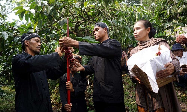 Tradisi Wiwit Kopi di Jombang Jawa Timur Digelar Untuk Menyambut Masa Panen Kopi