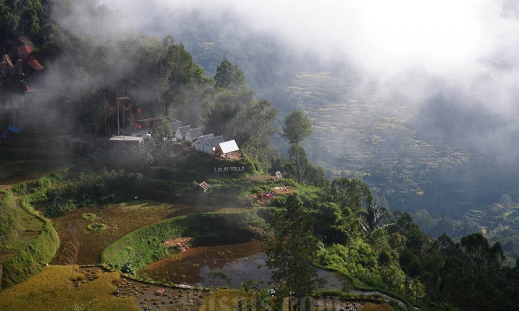 Pengembangan Wisata Lolai Toraja Utara