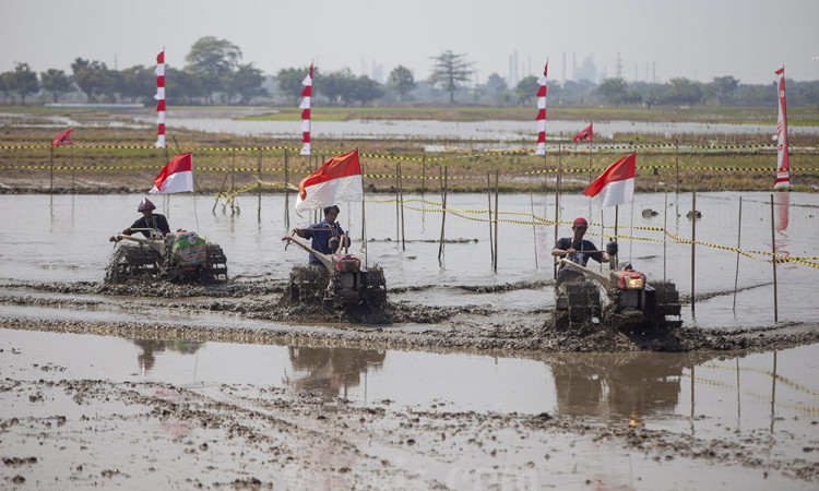 Lomba Balap Traktor di Indramayu