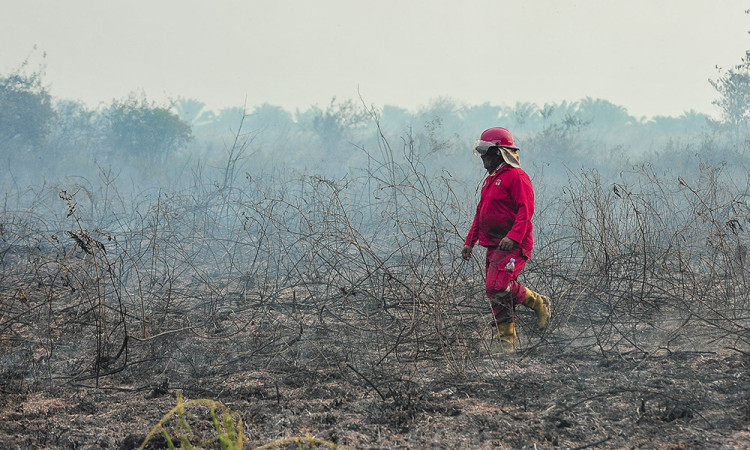 Pemadaman Karhutla di Muaro Jambi Terkendala Air