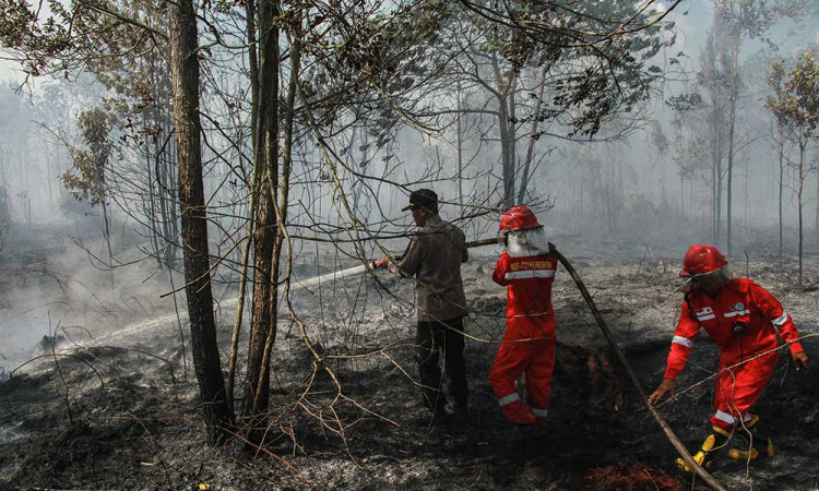 Kebaran Lahan di Kalimatan Tengah Mencapai Seluas 384,85 Haktare