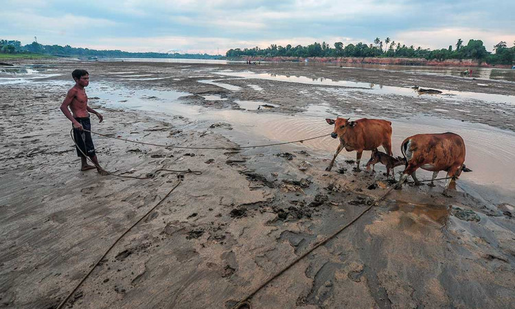 Ratusan Kepala Keluarga di Jambi Alami Kekeringan