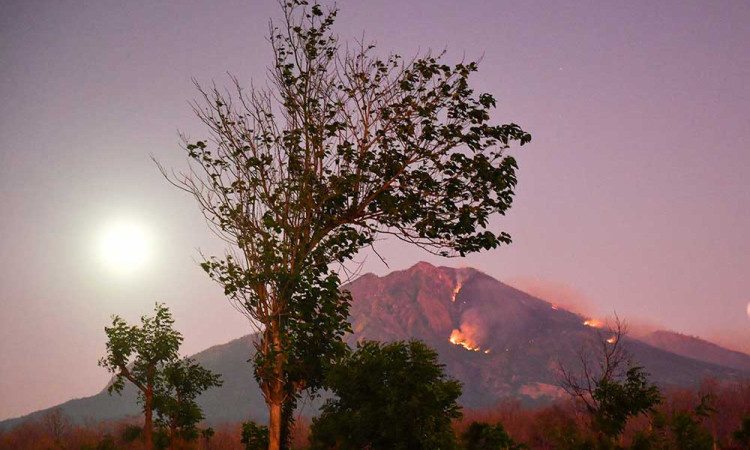 Kebakaran Lahan Terjadi di Kawasan Gunung Merapi Ungup-ungup