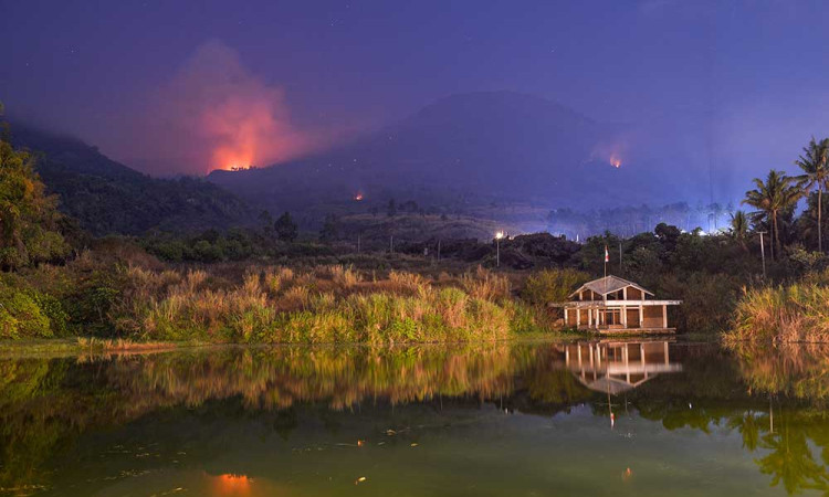 Hutan Seluas 16 Hektare di Gunung Guntur Hangus Terbakar
