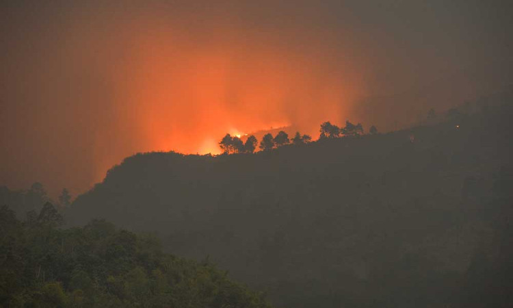 Hutan Seluas 16 Hektare di Gunung Guntur Hangus Terbakar