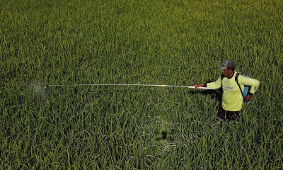 Perluasan Areal Tanam di Sulawesi Tenggara Mencapai 3.532 Hektare