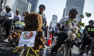 Peringatan Hari Orang Utan Sedunia di Jakarta