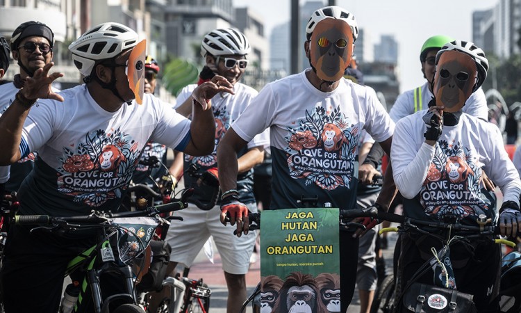 Peringatan Hari Orang Utan Sedunia di Jakarta