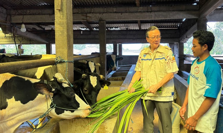 Perkuat Kemitraan Peternak Sapi Perah Lokal