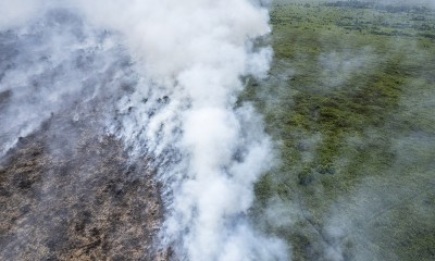 Dampak Karhutla di Muaro Jambi