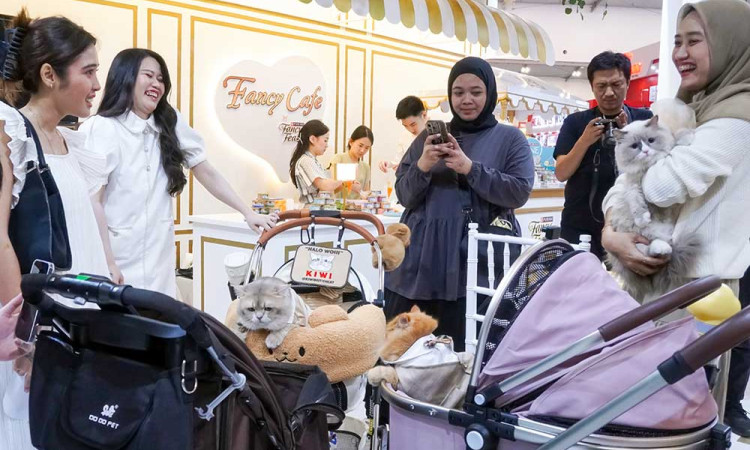 Tips Tingkatkan Emotional Bonding dengan Anabul di IIPE 2024