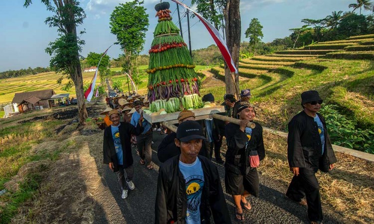 Tradisi Wiwit Panen Padi di Boyolali