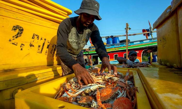 Kontribusi sektor kelautan terhadap PDB nasional saat ini baru mencapai 7,9%