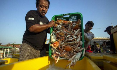 Kontribusi sektor kelautan terhadap PDB nasional saat ini baru mencapai 7,9%