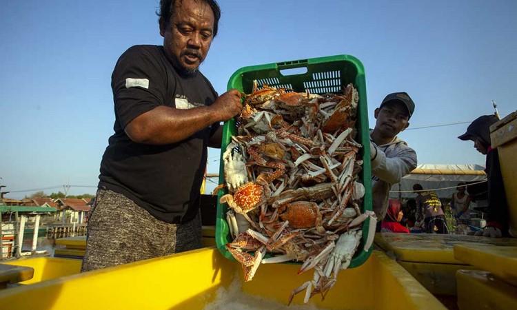 Kontribusi sektor kelautan terhadap PDB nasional saat ini baru mencapai 7,9%