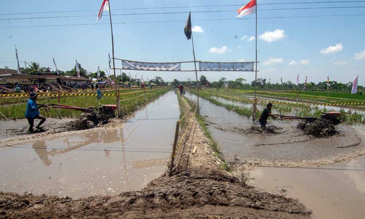 Sejumlah Petani di Klaten Ikuti Lomba Balap Traktor