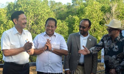 Paus Fransiskus Berkati Lima Bibit Mangrove