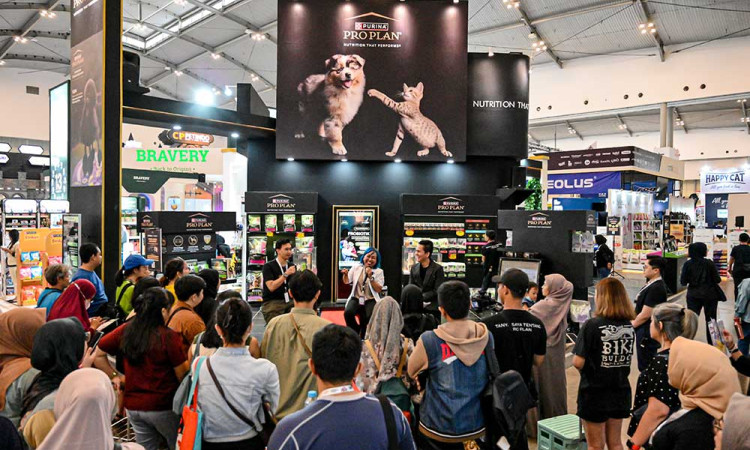 Sayangi Hewan Kesayangan dengan PURINA PRO PLAN: Nutrisi dan Probiotik Aktif bagi Hewan Kesayangan Pawrent!