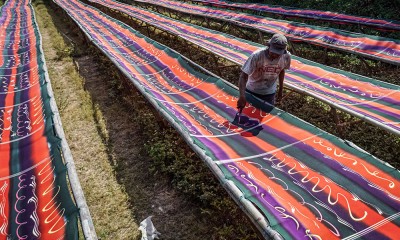 Alokasi Anggaran Kemenkop UKM 2025