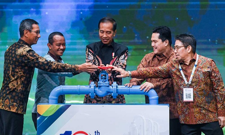 Presiden Joko Widodo Minta Potensi Energi Panas Bumi Dapat Dioptimalkan