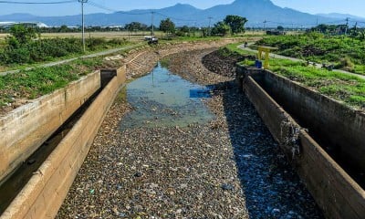 Kekeringan Melanda Kabupaten Bandung, Sebanyak 856 Hektare Sawah Terancam Gagal Panen