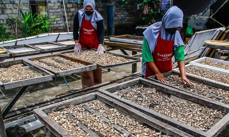 Kopi Rempah Menjadi Oleh-Oleh Khas Ternate