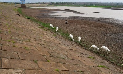 Volume Air Waduk Dawuhan Madiun Mulai Mengering