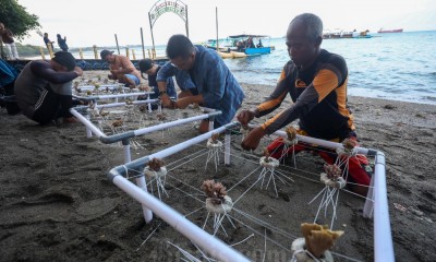 PNM Kelola Konservasi Terumbu Karang