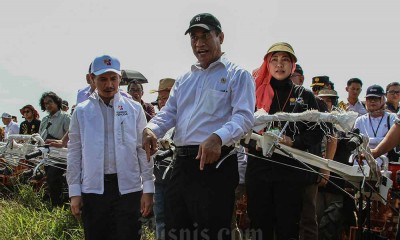 Proses Cetak Sawah di Kawasan Lumbung Pangan Kapuas