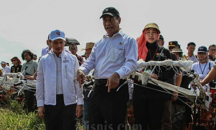 Proses Cetak Sawah di Kawasan Lumbung Pangan Kapuas