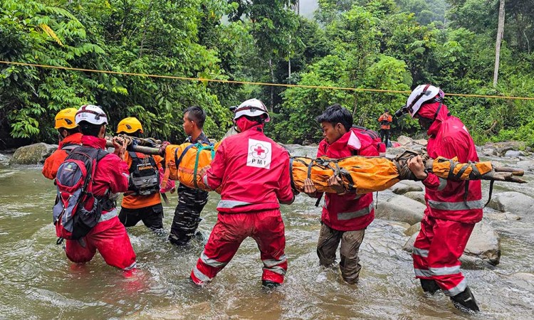 Evakuasi Korban Tanah Longsor di Lokasi Tambang Emas Ilegal