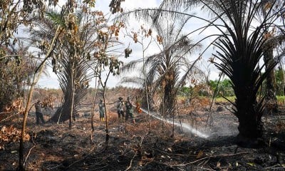 Pemadaman Kebakaran Hutan dan Lahan di Muara Enim Sumatra Selatan