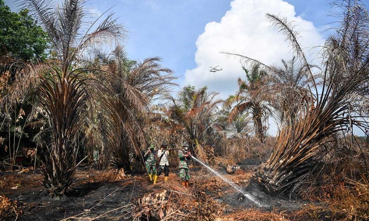 Pemadaman Kebakaran Hutan dan Lahan di Muara Enim Sumatra Selatan