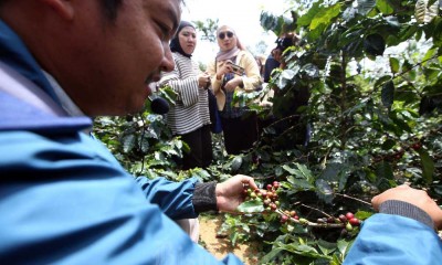 Fugol Coffee Roasters Berdayakan Petani Kopi di Jawa Barat